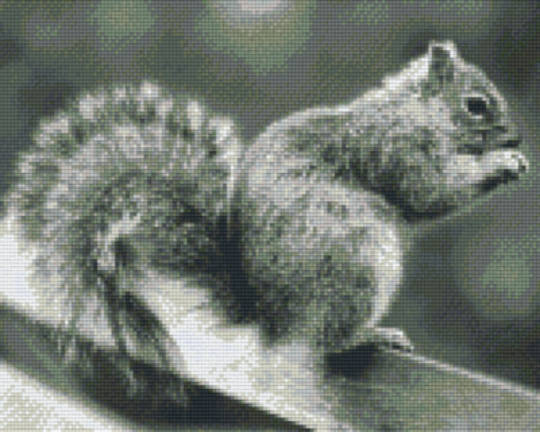 Squirrel In Black & White Nine [9] Baseplate PixelHobby Mini-mosaic Art Kit